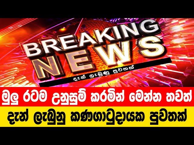 Breaking News|News 1st Today|Hiru News|hiru tv live|news srilanka today|breaking news srilanka