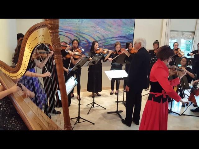 Isabella, first chamber orchestra experience