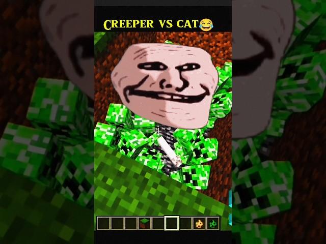 Minecraft Creeper vs cat