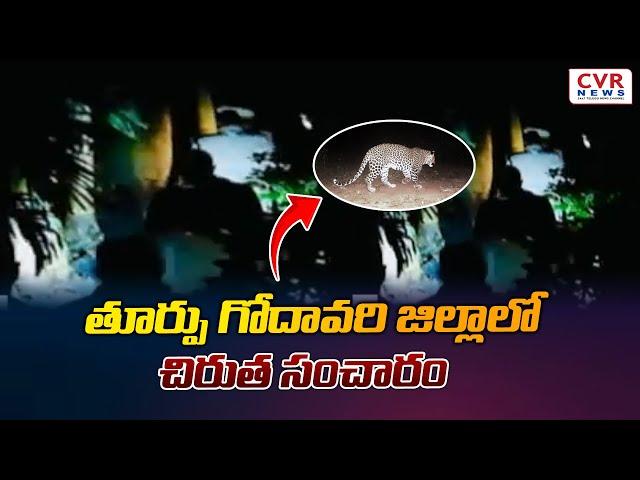 తూర్పు గోదావరి జిల్లాలో చిరుత సంచారం  | East Godavari district | CVR NEWS