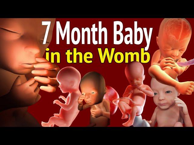 This Is Exactly What Baby In Womb Does in 7th Month Of Pregnancy - A Delight To Watch And Know