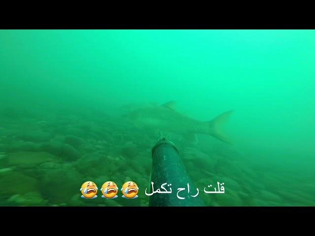 Free Diving  Fishing  Euphrates صيد  كرسين  نهر الفرات صيد افضل طريقة صيد سمك