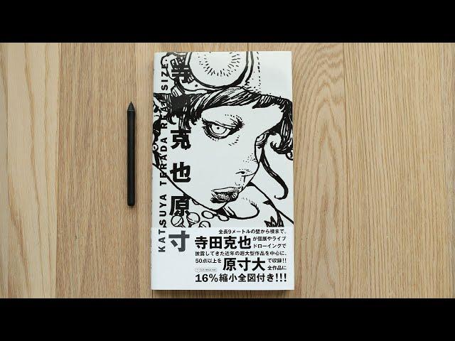 Real Size - Katsuya Terada Art Book Review 寺田克也原寸