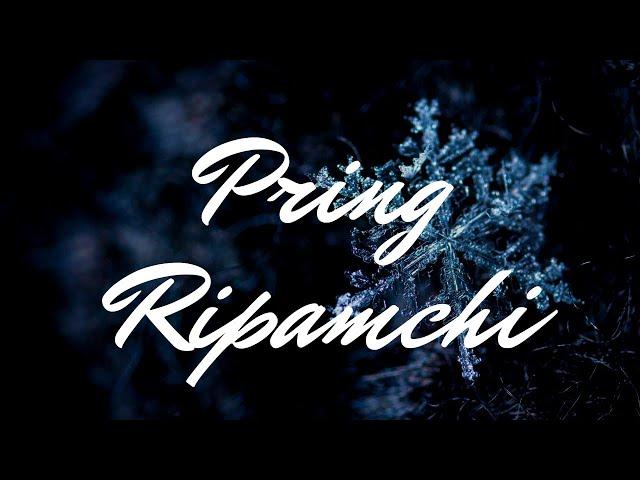 Rakseng | Pring Ripamchi (Various Artist Ft. TRIBALHEAD  OFFICIAL COVER) Bilsi Gital song.