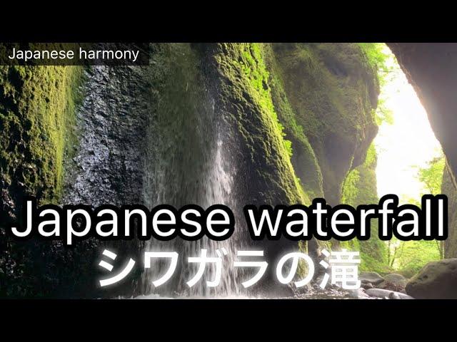 【Japanese beautiful waterfall】Trip to JapanTotoro's World、Ghibli movie、シワガラの滝、新温泉町、トトロの世界、日本の名瀑