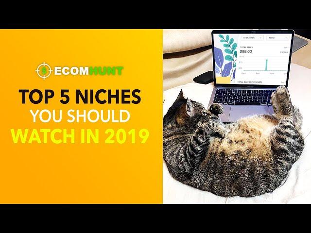 TOP 5 NICHES YOU SHOULD WATCH IN 2019 | Ecomhunt