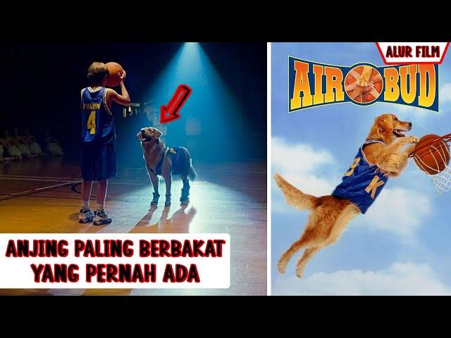 Tak Sengaja Ditemukan, Ternyata Anjing Ini Jago Main Basket | Ceritain Film 4ir Bud (1997)