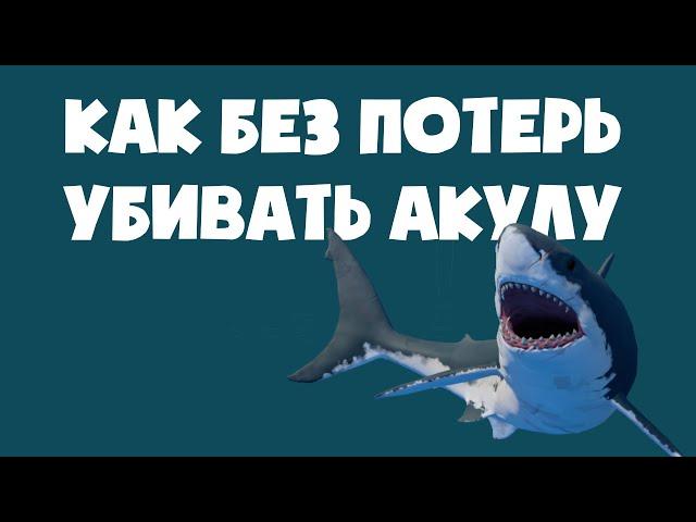 Как убивать акулу  RAFT 