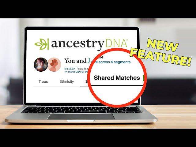 AncestryDNA’s New Match Feature Is a Game Changer!