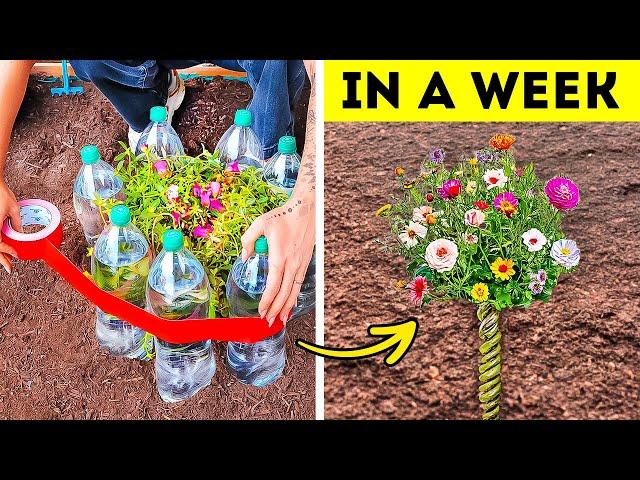 101 Genius Gardening Hacks To Transform Your Garden in a 5 Minutes!