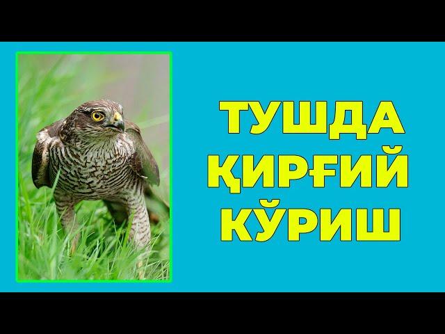 Туш табири - Тушда Киргий куриш