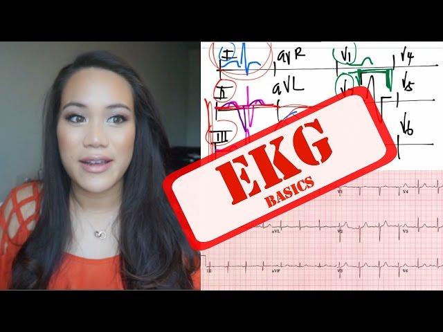 Medical School | Cardiology Rotation - EKG BASICS