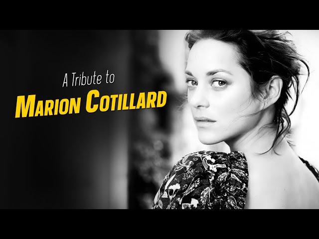 A Tribute to MARION COTILLARD