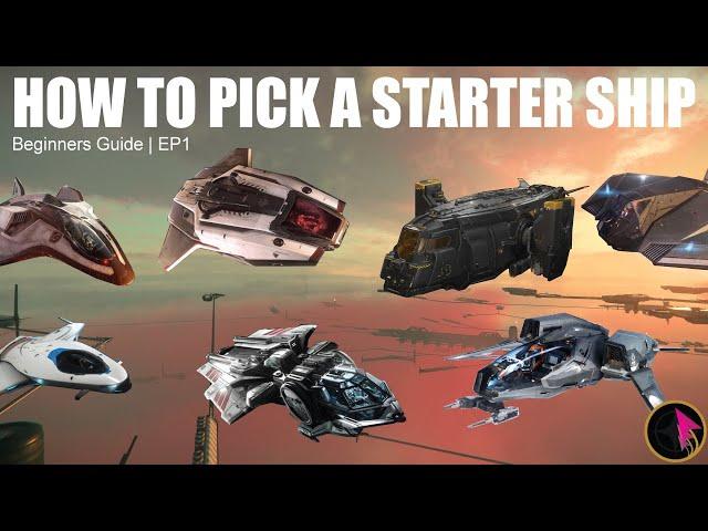 Star Citizen Beginners Guide | Picking a Starter Ship