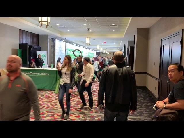 Adult Entertainment Expo 2019 - Day 1 - Walk around - MyFreeCams, Chaturbate, Adulttime