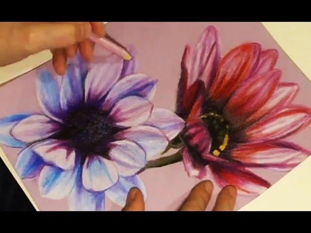 Speed Drawing - Painting Two Flowers with Colored Pencils on Rose Paper