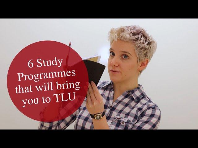 What Can You Study at Tallinn University?