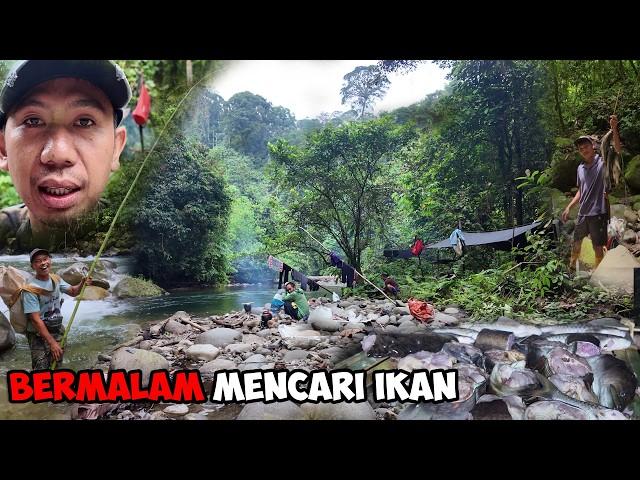 Fishing Camp Adventure | Bermalam Di Hutan Rimba Mencari Ikan Mahseer Berburu Ikan Sidat