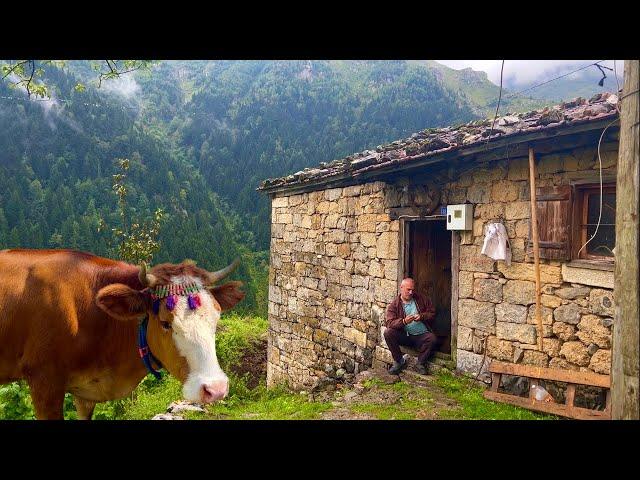 Life in a remote Turkish village | A terrible thunderstorm hit while the cows were grazing outside