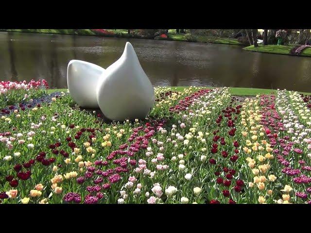 Andy Tielman - Tulips From Amsterdam / The Windmill, Official Music Video (Tulpen Uit Amsterdam)