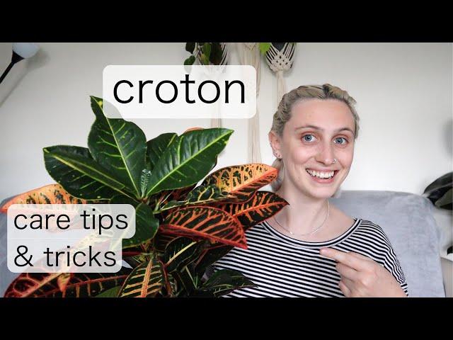 CROTON CARE | Codiaeum Variegatum Care Tips & Tricks