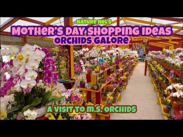 Awesome gift ideas at the local orchid house, M.S. Orchids. Walk with me through rows of orchids.