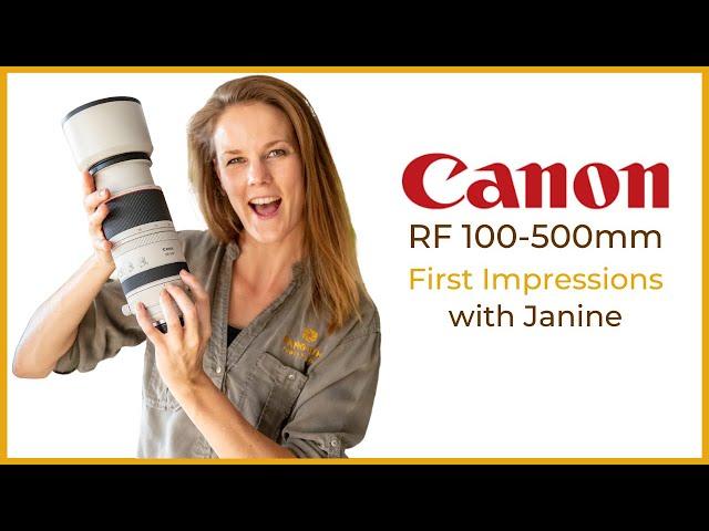 Canon 100-500mm Lens - First Impressions