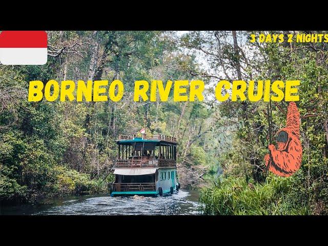 3 day Borneo River Cruise in Tanjung Puting National Park | Orangutan Adventure [4K]