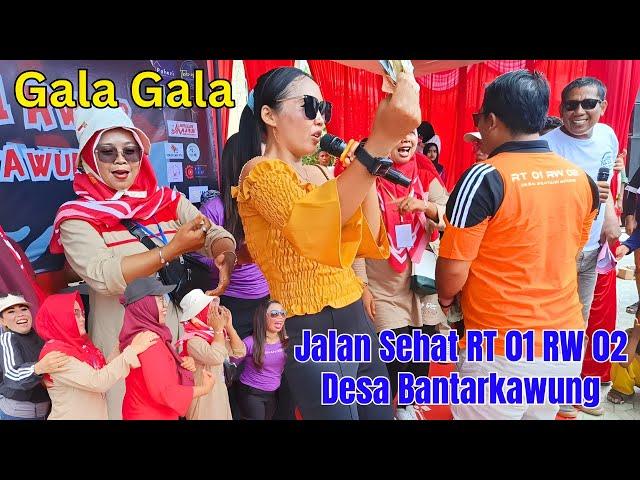 G4LA-G4LA JALAN SEHAT DESA BANTARKAWUNG 2024