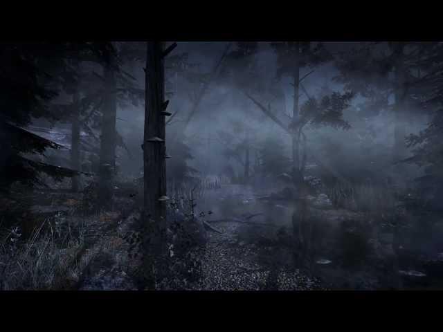 Hellraid E3 2013 Gameplay Trailer