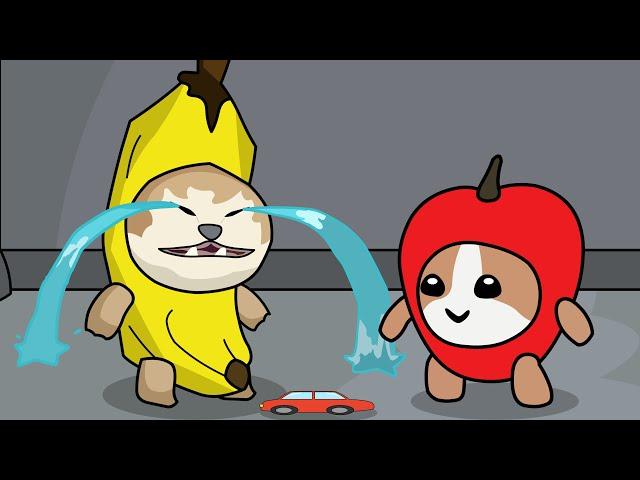 Banana Cat vs Apple Cat |  Funny Animation