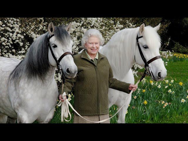 Queen  Elizabeth II and Her Passions for Horses - BBC Royal Documentary