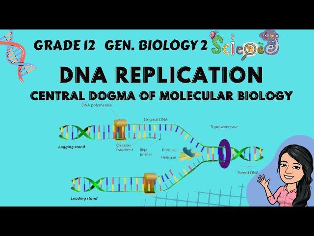 DNA Replication: Central Dogma of Molecular Biology | Grade 12 Gen Biology 2 Tagalog