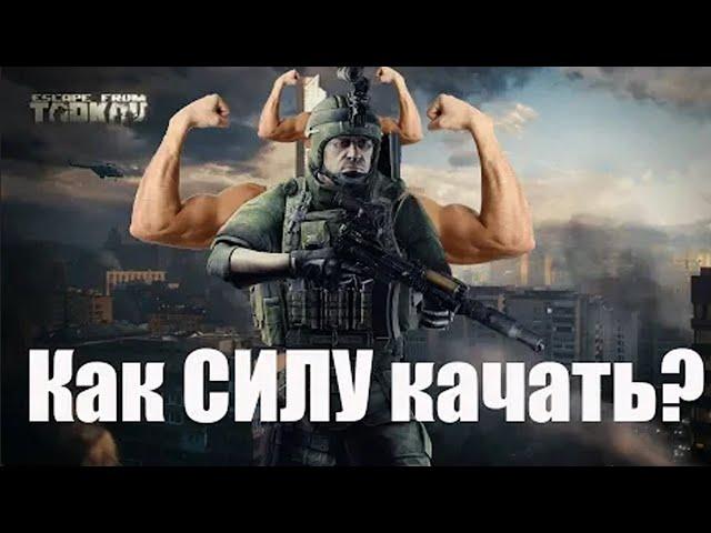 Как прокачать выносливость и силу в Escape from Tarkov.