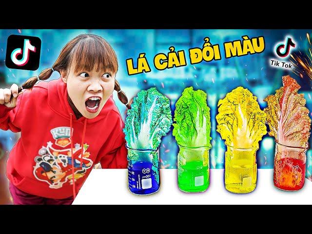 Hà Sam Làm Theo Những Thí Nghiệm Triệu View Trên TIKTOK - Toàn Thí Nghiệm Cực Hay