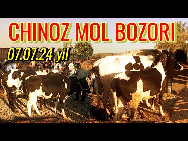 CHINOZ MOL BOZORIDA ONA -BOLA SIGIRLAR 