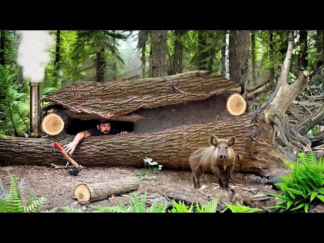 Building of a secret dugout under a fallen tree