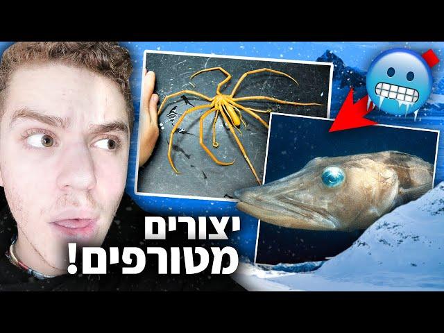 מה מתחבא במים הקפואים של אנטארקטיקה? (מעמקי הים)