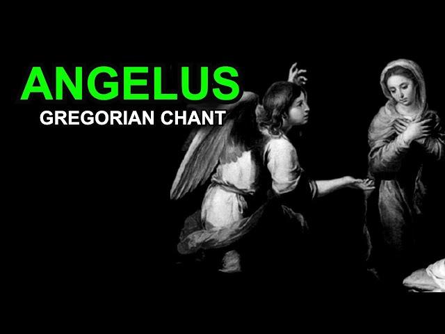 Angelus (Gregorian Chant)