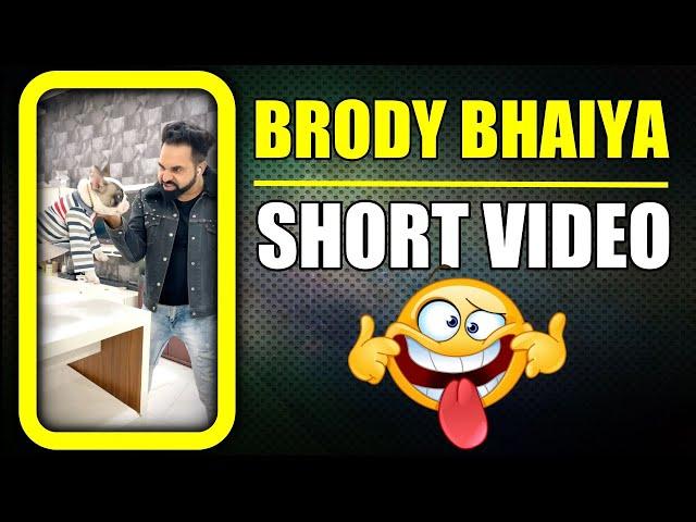 Bhago Bunny ka Bhaiya Brody aa Gya  Funny Dog Short Video | Harpreet SDC