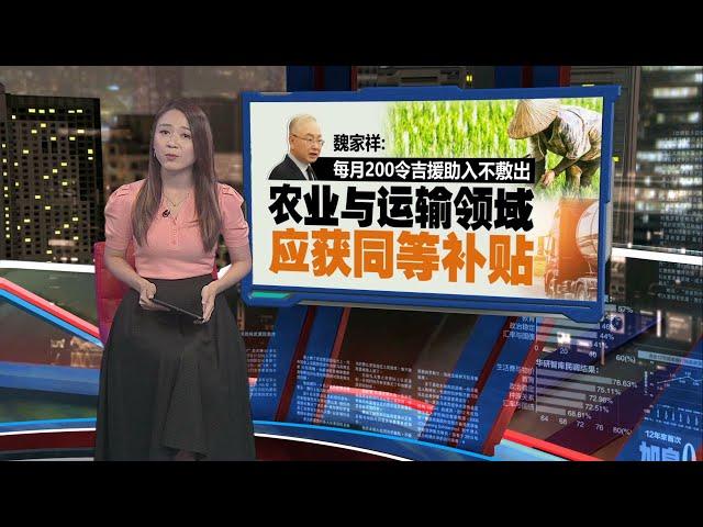 柴油补贴没惠及小农民   魏家祥：恐掀食品“涨价”潮 | 新闻报报看 07/06/2024