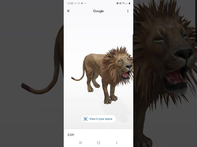 Google Animals in Augmented Reality! (AR) Animal List