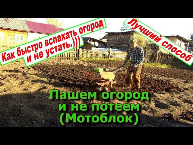 Пашем огород и не потеем... или Как пахать мотоблоком 31 05 23