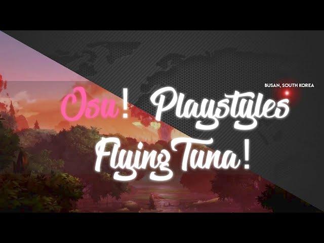 Osu! Playstyles [#6] - FlyingTuna!