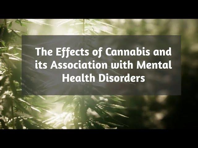 ​Cannabis and its effect on mental health