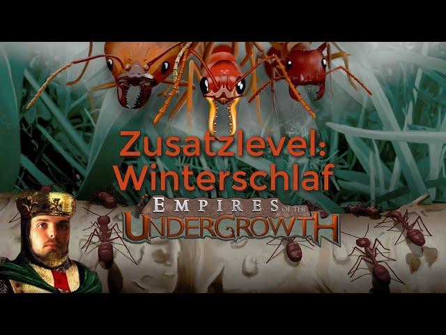 Winterschlaf | Zusatzlevel | Empires of the Undergrowth | Let's Play