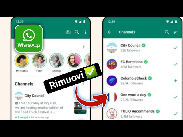 Rimuovere l'aggiornamento del canale WhatsApp | Come rimuovere il canale WhatsApp