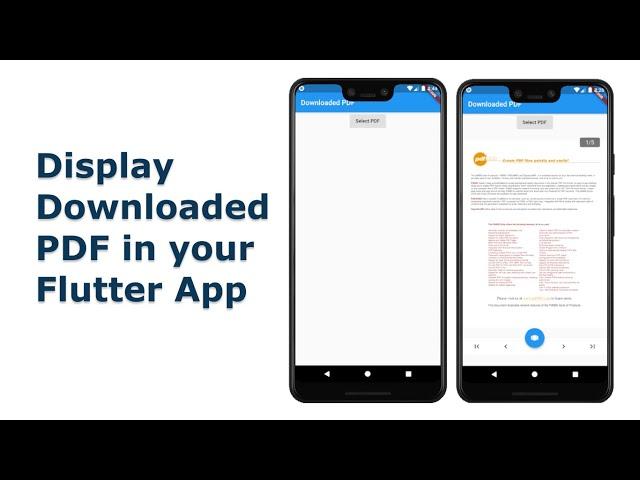 #Flutter How to Display Downloaded PDF in your flutter app using "flutter_plugin_pdf_viewer" package