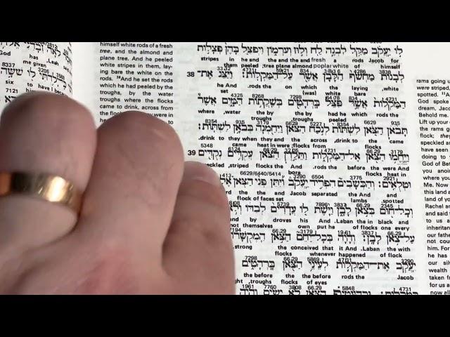 The Interlinear Hebrew-Greek-English Bible, One-Volume Edition