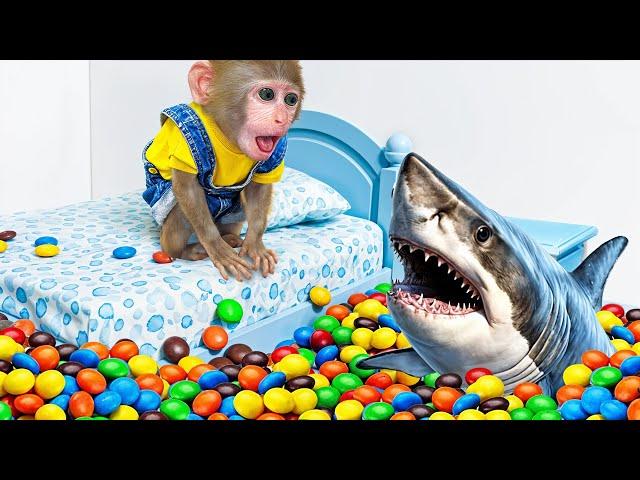 KiKi Monkey escape full of Mixing Rainbow M&M Candy Room & Shark Fishing Challenge |KUDO ANIMAL KIKI